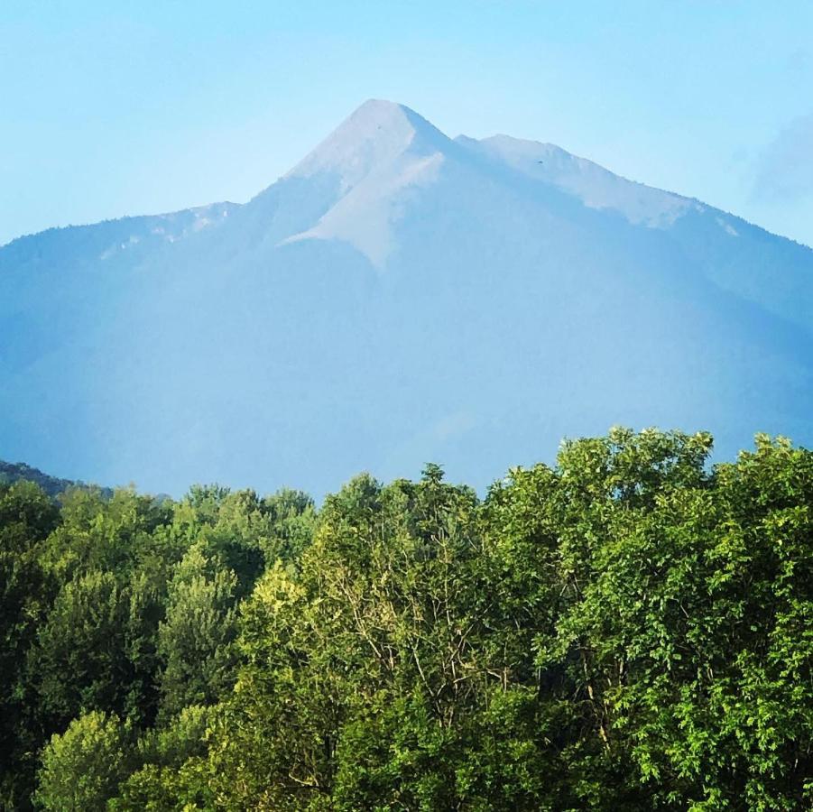 Gite Colombe Des Bois Estadens Bagian luar foto
